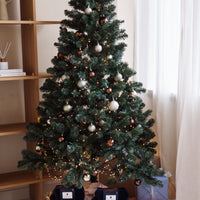 X-mas Set 2025 Ultimate Care