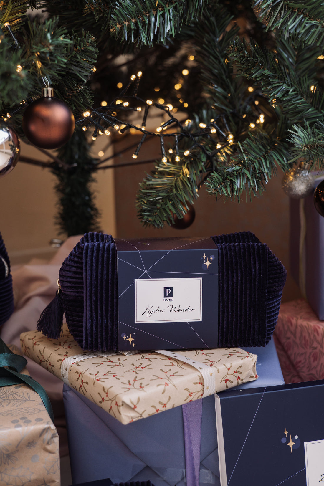 X-mas Set 2025 Ultimate Care