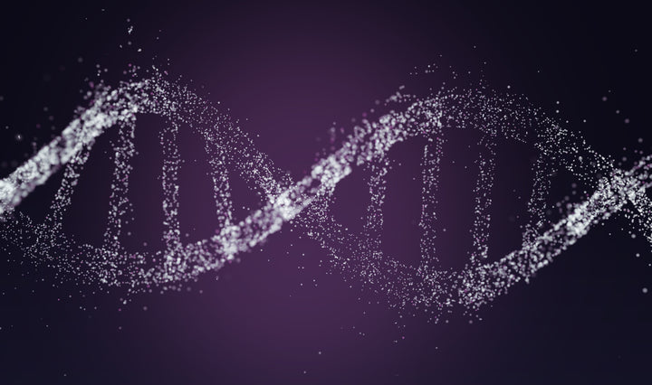 BLOG: De toekomst van jouw huid lees je uit een DNA test