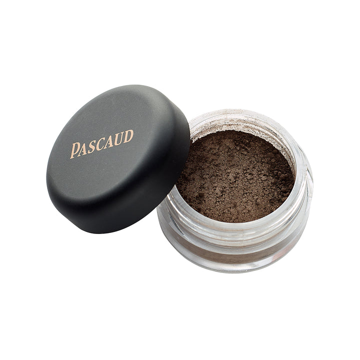 pascaud mineral eyepowder brow